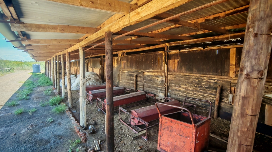 6 Bedroom Property for Sale in Pearston Eastern Cape